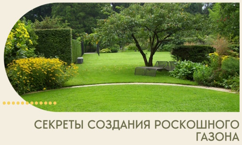 Секреты создания роскошного газона в Каспийске