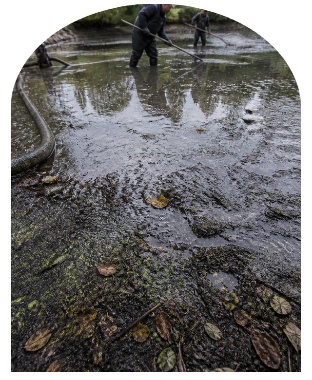 Очистка пруда в Каспийске от ила мусора и водорослей с вывозом